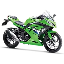 निन्जा 300 Image