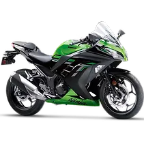 निन्जा 300 Image