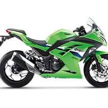 निन्जा 300 Image