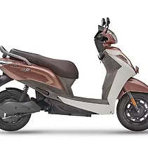 Magnus G Max Image
