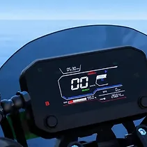RVX Image