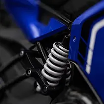 RVX Image