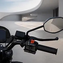 RVX Image