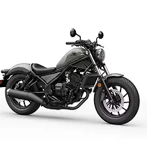 Rebel 300 Image
