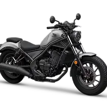 Rebel 300 Image