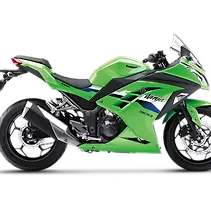 Ninja 300 Image