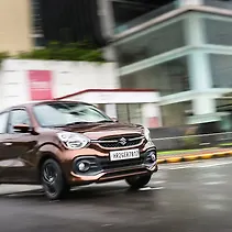 सिलेरियो Image