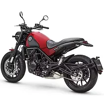 लियॉनसिनो 500 Image