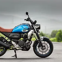 fz x Image