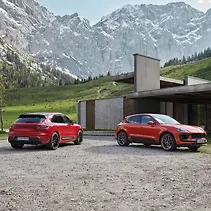 Macan Image Macan Image