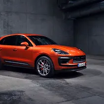 Macan Image Macan Image