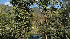 Used Mercedes-Benz E-Class 250 D (W210) in Dehradun