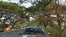 Used Mercedes-Benz E-Class E250 CDI Avantgarde in Chennai