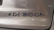 Second Hand Lexus NX 300h Luxury [2017-2020] in Delhi
