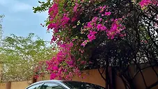 Used Honda Civic 1.8S AT in Bangalore