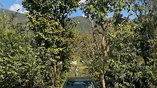 Used Mercedes-Benz E-Class 250 D (W210) in Dehradun