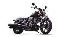 Indian Chief Dark Horse