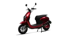 ईवोलेट पोनी