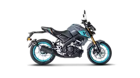 Yamaha MT 15 V2 Image