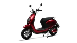 ईवोलेट पोनी इमेज