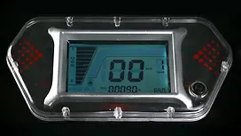 Evolet Pony Odometer
