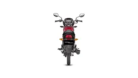 Honda Shine 100 Rear View