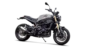 Benelli Leoncino 800