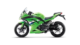Kawasaki Ninja 300 Left Side View