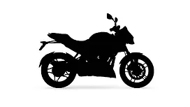 Bajaj New Pulsar N250