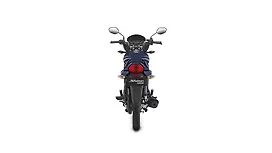 Honda Shine Rear View