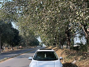 Second Hand Honda City ZX CVT Petrol [2017-2019] in Patiala