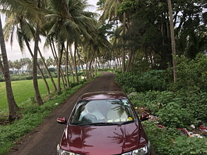 Second Hand होंडा सिटी 1.5 v एमटी in बैंगलोर