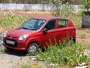 Second Hand Maruti Suzuki Alto 800 Lxi in Tiruchirappalli