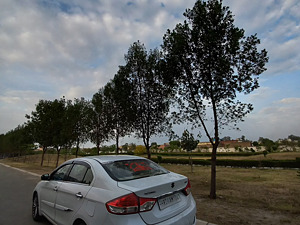 Second Hand Maruti Suzuki Ciaz Alpha 1.3 Hybrid in Panipat