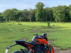 Second Hand KTM Duke Standard in Jabalpur