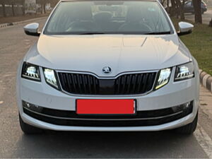 Second Hand Skoda Octavia 2.0 TDI CR Style Plus AT [2017] in Chandigarh