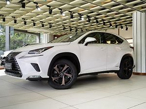 Second Hand Lexus NX 300h Luxury [2017-2020] in Gurgaon