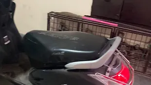 Honda Activa 5G Standard