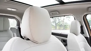 Tata Safari Front Seat Headrest