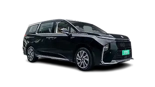 MG M9