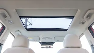 Mahindra XUV 3XO Inner Car Roof