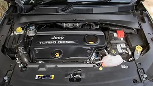 Jeep Meridian Engine Shot