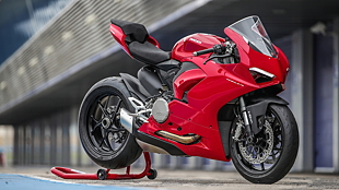 ducati sport bike