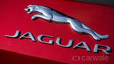 Jaguar F-Pace [2016-2021] Exterior