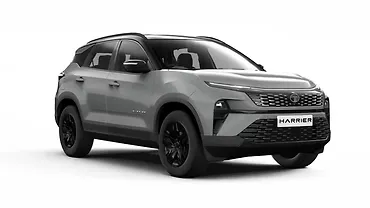 Pure Grey With Dual Tone Pure Grey With Dual Tone
