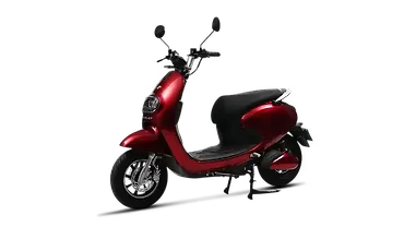 ईवोलेट पोनी Image