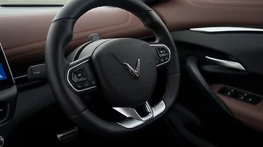 विनफ़ास्ट VF 6 हॉर्न बॉस
