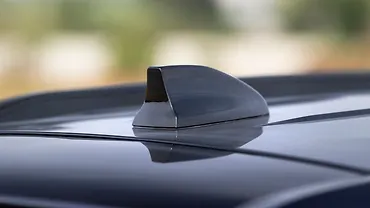 Mahindra XEV 9S Antenna