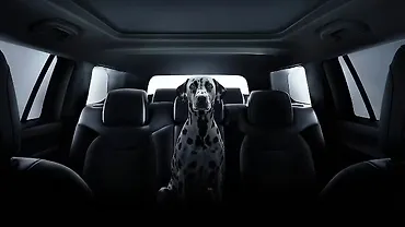 Jeep Meridian Track Edition Teased Jeep Meridian Track Edition Teased