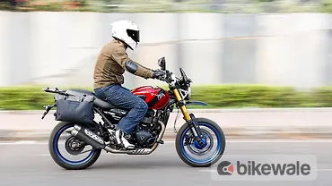 Viaterra Downtown Saddlebags Review: To Buy or Not to Buy